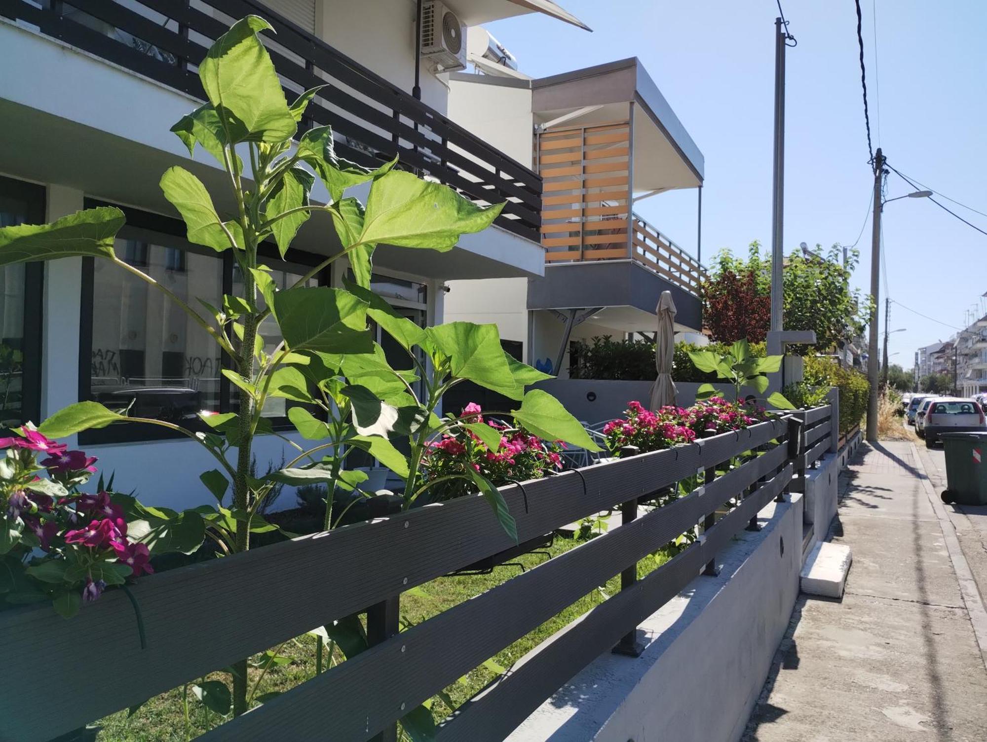 Villa Olympia Paralia Katerinis Exterior photo